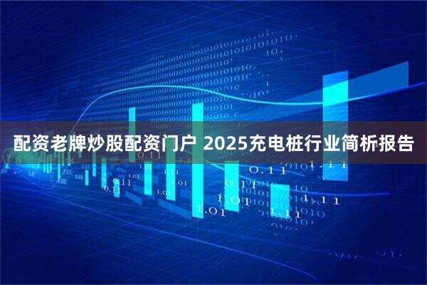 配资老牌炒股配资门户 2025充电桩行业简析报告